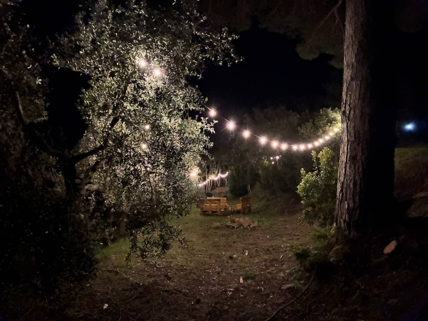 notturno Isola d'Elba