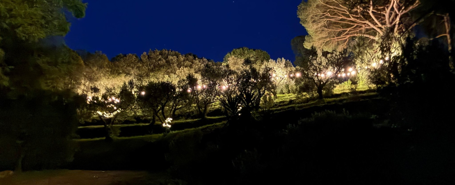 aperitivi in agrglamping Isola d'Elba